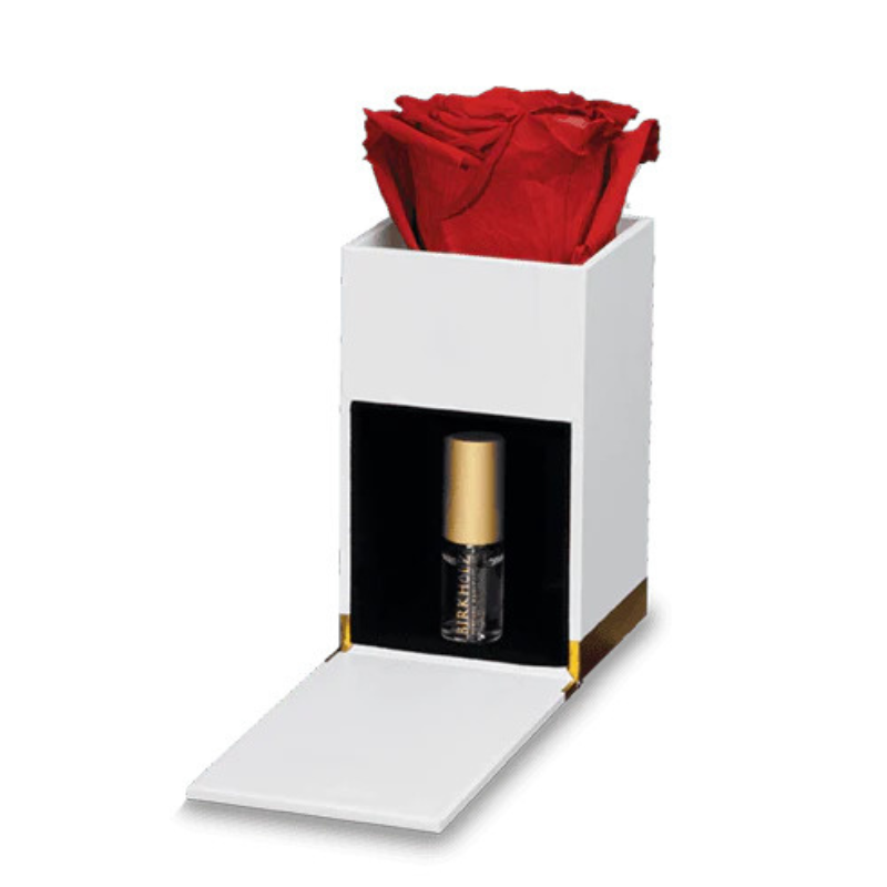 Complete Flower Box Mini - Red Rose - Amber Intense